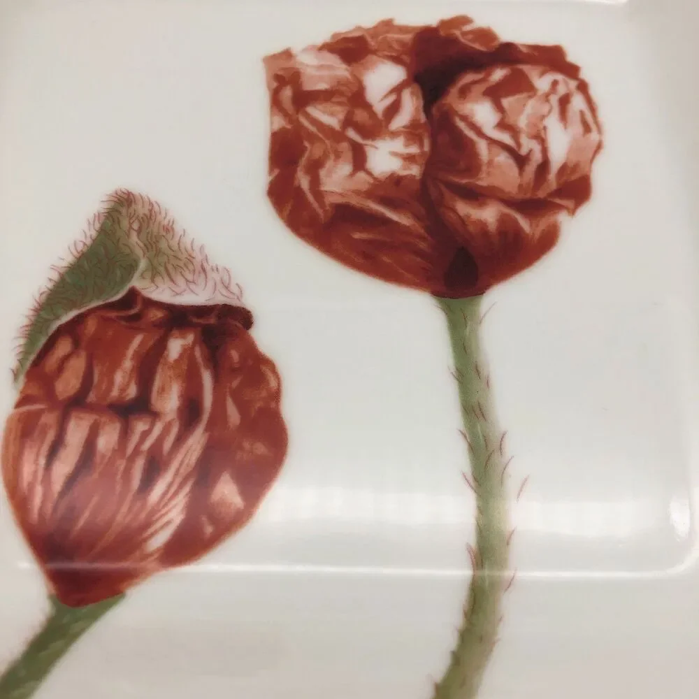 Villeroy & Boch Flora Red Poppy Square Serving Dish Bowl Germany 8.5